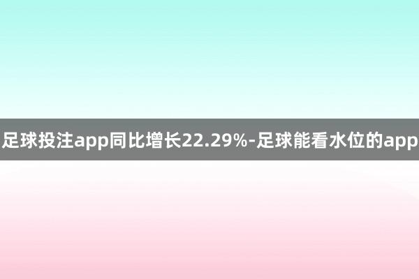 足球投注app同比增长22.29%-足球能看水位的app