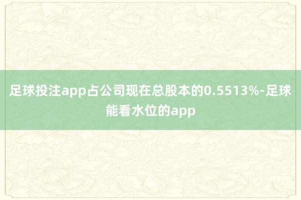 足球投注app占公司现在总股本的0.5513%-足球能看水位的app