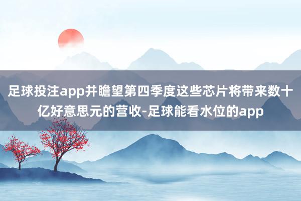 足球投注app并瞻望第四季度这些芯片将带来数十亿好意思元的营收-足球能看水位的app