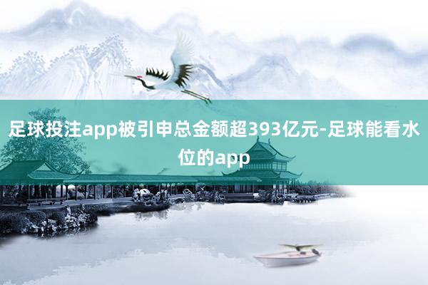 足球投注app被引申总金额超393亿元-足球能看水位的app