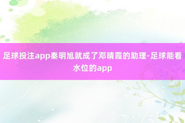 足球投注app秦明旭就成了邓晴霞的助理-足球能看水位的app