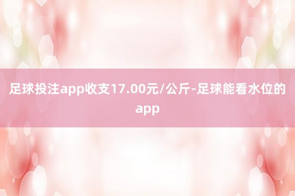 足球投注app收支17.00元/公斤-足球能看水位的app