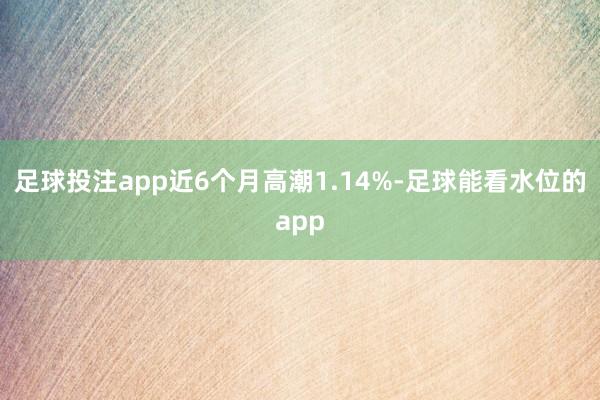 足球投注app近6个月高潮1.14%-足球能看水位的app