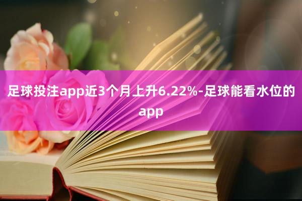 足球投注app近3个月上升6.22%-足球能看水位的app