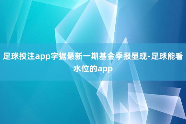 足球投注app字据最新一期基金季报显现-足球能看水位的app