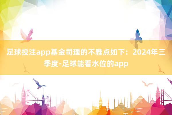 足球投注app基金司理的不雅点如下：2024年三季度-足球能看水位的app