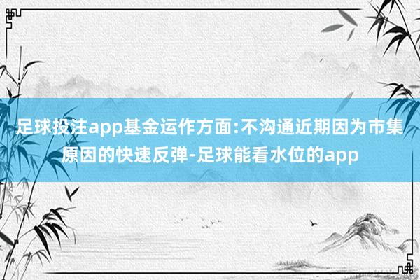 足球投注app基金运作方面:不沟通近期因为市集原因的快速反弹-足球能看水位的app