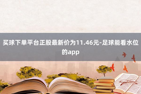 买球下单平台正股最新价为11.46元-足球能看水位的app