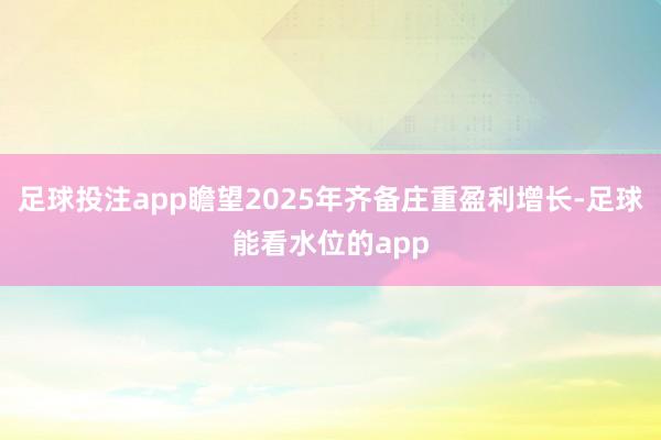 足球投注app瞻望2025年齐备庄重盈利增长-足球能看水位的app