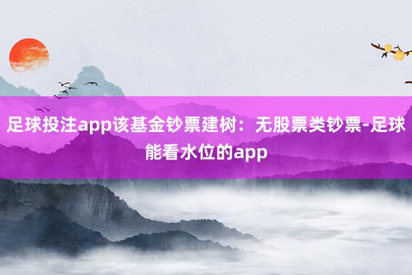 足球投注app该基金钞票建树：无股票类钞票-足球能看水位的app