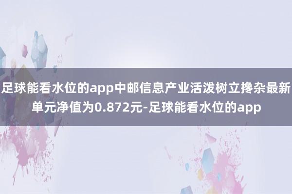 足球能看水位的app中邮信息产业活泼树立搀杂最新单元净值为0.872元-足球能看水位的app