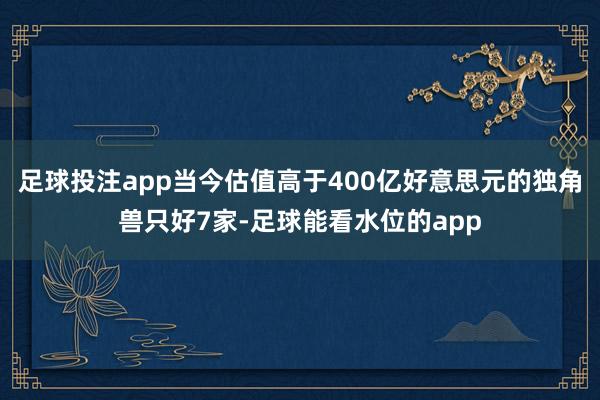 足球投注app当今估值高于400亿好意思元的独角兽只好7家-足球能看水位的app