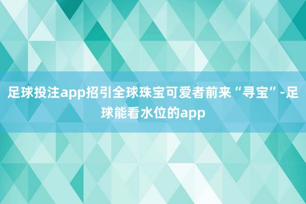 足球投注app招引全球珠宝可爱者前来“寻宝”-足球能看水位的app