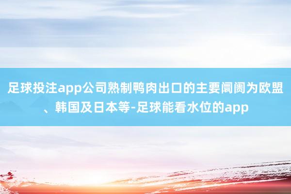 足球投注app公司熟制鸭肉出口的主要阛阓为欧盟、韩国及日本等-足球能看水位的app