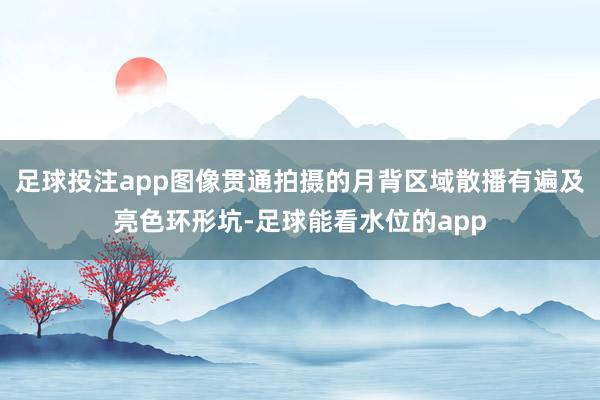 足球投注app图像贯通拍摄的月背区域散播有遍及亮色环形坑-足球能看水位的app