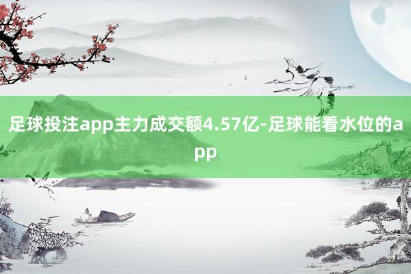 足球投注app主力成交额4.57亿-足球能看水位的app