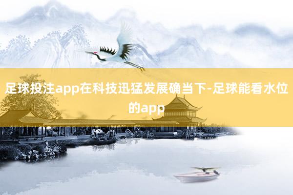 足球投注app在科技迅猛发展确当下-足球能看水位的app