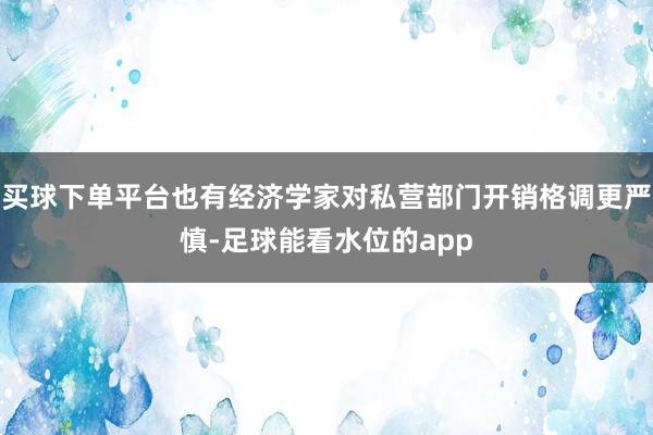 买球下单平台也有经济学家对私营部门开销格调更严慎-足球能看水位的app