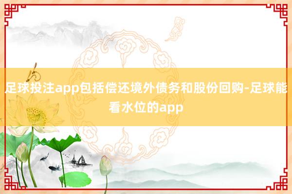 足球投注app包括偿还境外债务和股份回购-足球能看水位的app