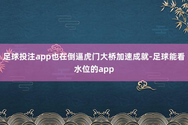 足球投注app也在倒逼虎门大桥加速成就-足球能看水位的app