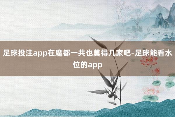 足球投注app在魔都一共也莫得几家吧-足球能看水位的app