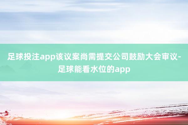 足球投注app该议案尚需提交公司鼓励大会审议-足球能看水位的app