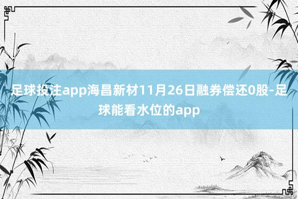 足球投注app海昌新材11月26日融券偿还0股-足球能看水位的app