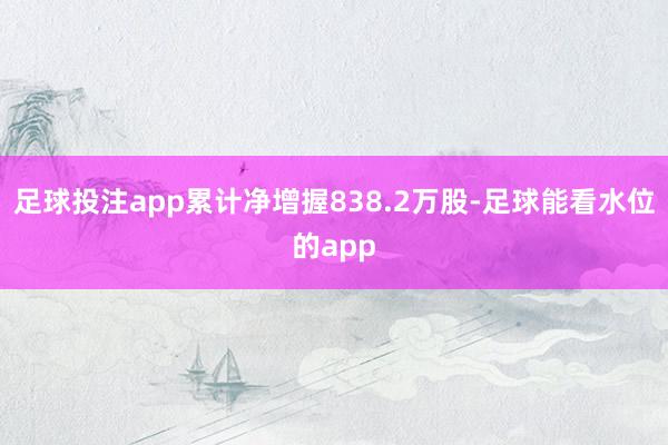 足球投注app累计净增握838.2万股-足球能看水位的app