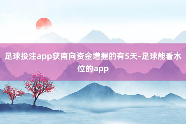 足球投注app获南向资金增握的有5天-足球能看水位的app