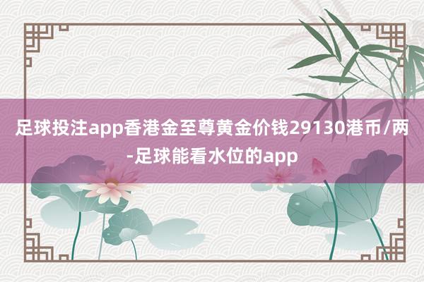 足球投注app香港金至尊黄金价钱29130港币/两-足球能看水位的app