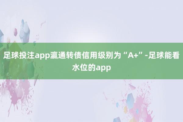 足球投注app瀛通转债信用级别为“A+”-足球能看水位的app