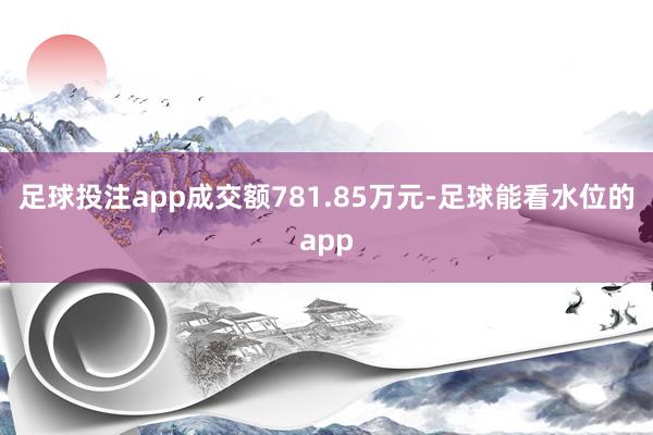 足球投注app成交额781.85万元-足球能看水位的app