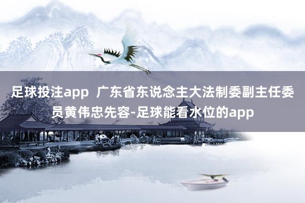 足球投注app  广东省东说念主大法制委副主任委员黄伟忠先容-足球能看水位的app