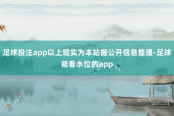 足球投注app以上现实为本站据公开信息整理-足球能看水位的app