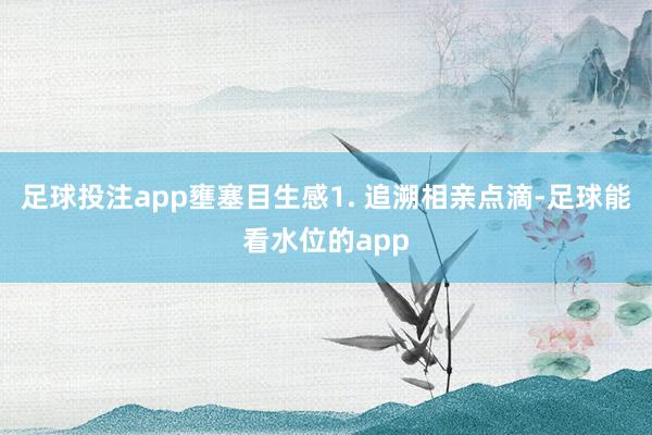 足球投注app壅塞目生感1. 追溯相亲点滴-足球能看水位的app