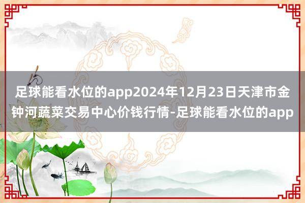 足球能看水位的app2024年12月23日天津市金钟河蔬菜交易中心价钱行情-足球能看水位的app