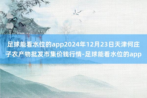 足球能看水位的app2024年12月23日天津何庄子农产物批发市集价钱行情-足球能看水位的app