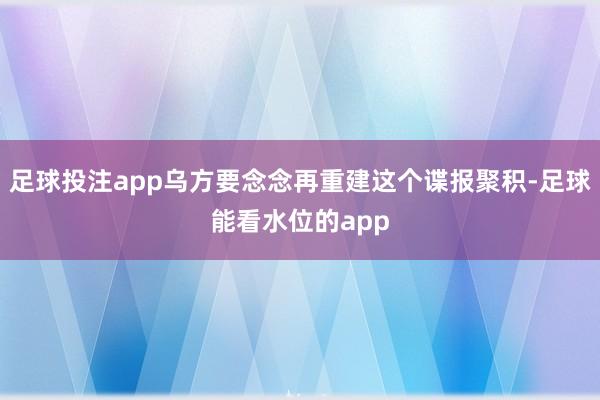 足球投注app乌方要念念再重建这个谍报聚积-足球能看水位的app