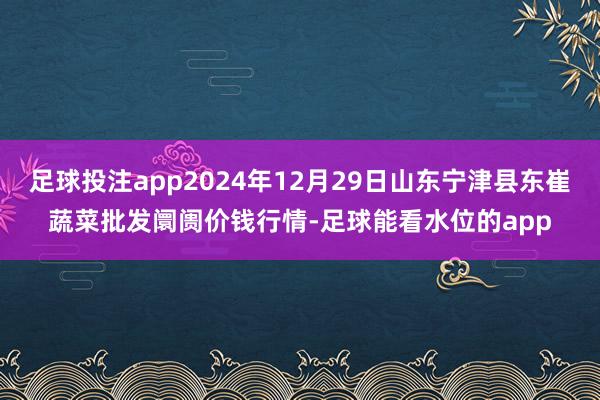 足球投注app2024年12月29日山东宁津县东崔蔬菜批发阛阓价钱行情-足球能看水位的app