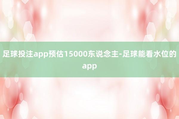 足球投注app预估15000东说念主-足球能看水位的app