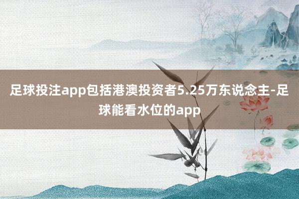 足球投注app包括港澳投资者5.25万东说念主-足球能看水位的app