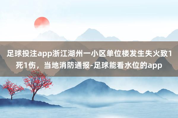 足球投注app浙江湖州一小区单位楼发生失火致1死1伤，当地消防通报-足球能看水位的app