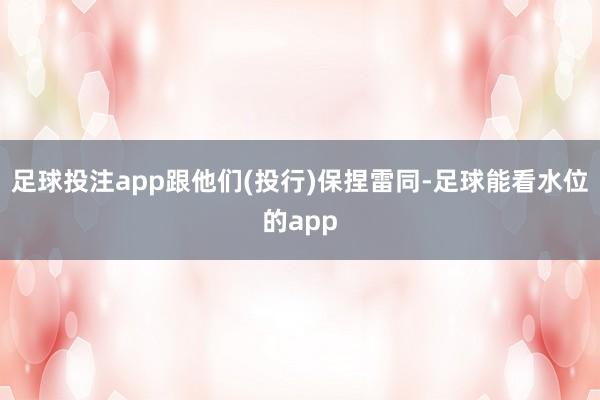 足球投注app跟他们(投行)保捏雷同-足球能看水位的app