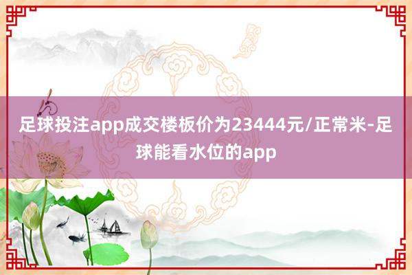 足球投注app成交楼板价为23444元/正常米-足球能看水位的app