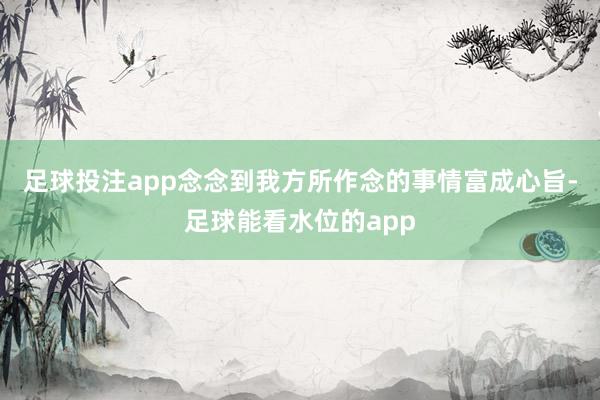 足球投注app念念到我方所作念的事情富成心旨-足球能看水位的app