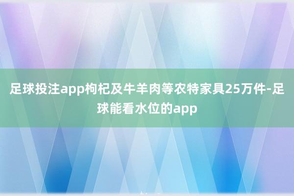 足球投注app枸杞及牛羊肉等农特家具25万件-足球能看水位的app