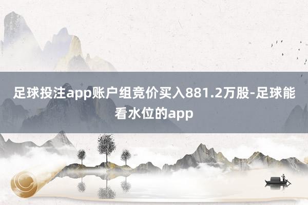 足球投注app账户组竞价买入881.2万股-足球能看水位的app