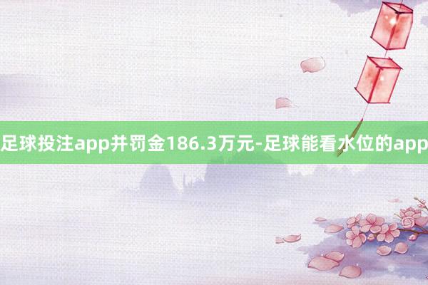 足球投注app并罚金186.3万元-足球能看水位的app