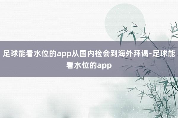 足球能看水位的app从国内检会到海外拜谒-足球能看水位的app