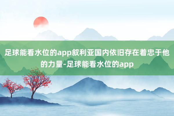 足球能看水位的app叙利亚国内依旧存在着忠于他的力量-足球能看水位的app
